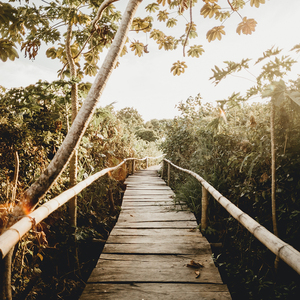 丰满少妇成人kTV
