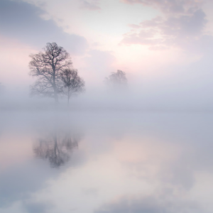 丰满少妇成人kTV
