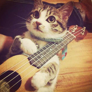 丰满少妇成人kTV
