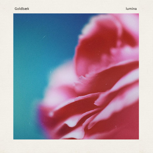 丰满少妇成人kTV
